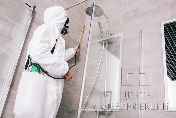 Санитарная обработка от тараканов в квартире  в Звенигороде